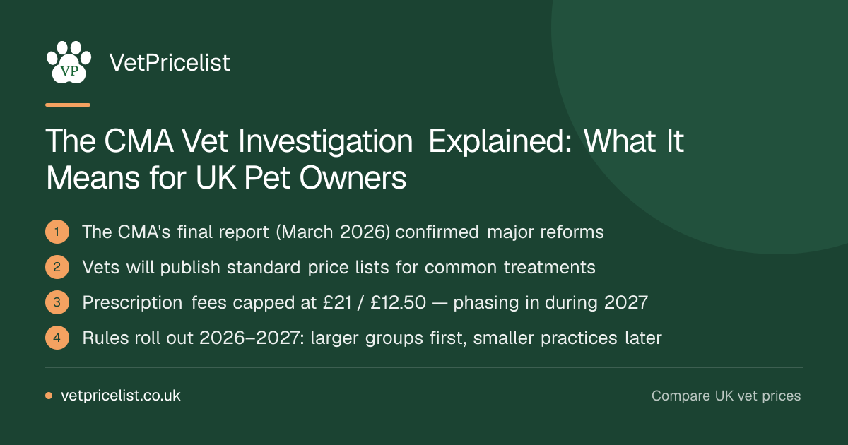 The CMA Vet Investigation Explained: What It Means for UK Pet Owners