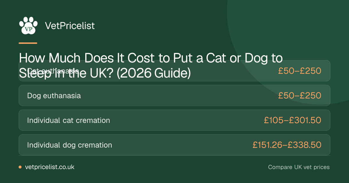 How Much Does It Cost to Put a Cat or Dog to Sleep in the UK? (2026 Guide)