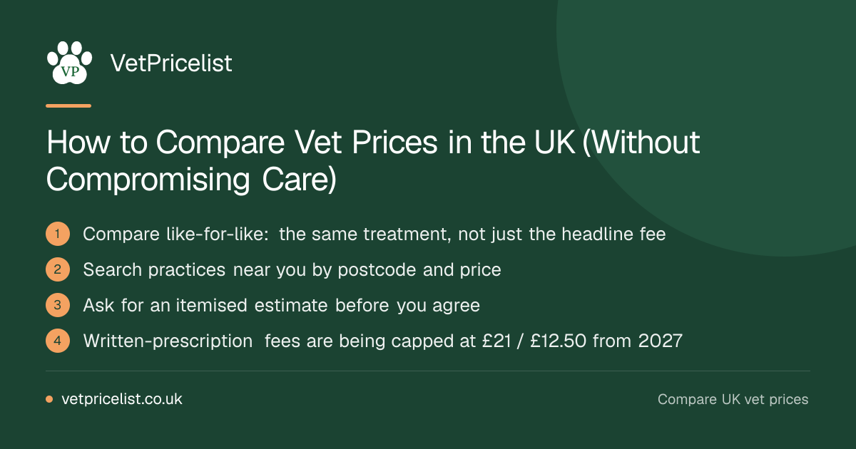 How to Compare Vet Prices in the UK (Without Compromising Care)
