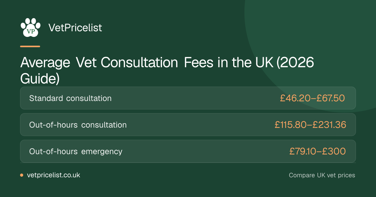 Average Vet Consultation Fees in the UK (2026 Guide)